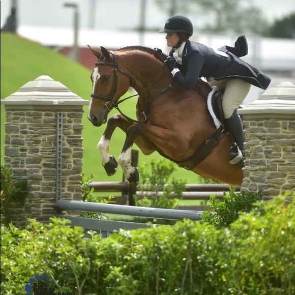 Meet your Posher, Emma - Picture 2 of 2